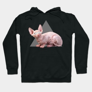 Damn cat Hoodie